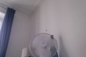 Photo on 7-29-14 at 2.50 PM