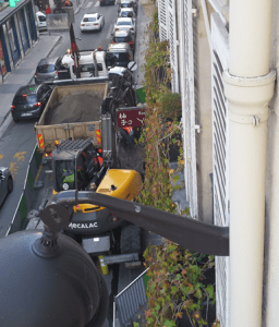 Paris tooth rattling